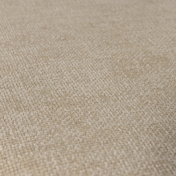 Detail | Close up | 2