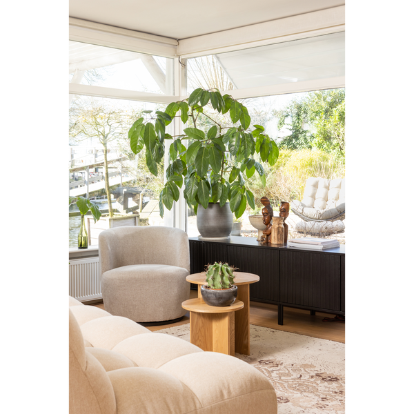 Serra swivel chair woven fabric sand, room setting
